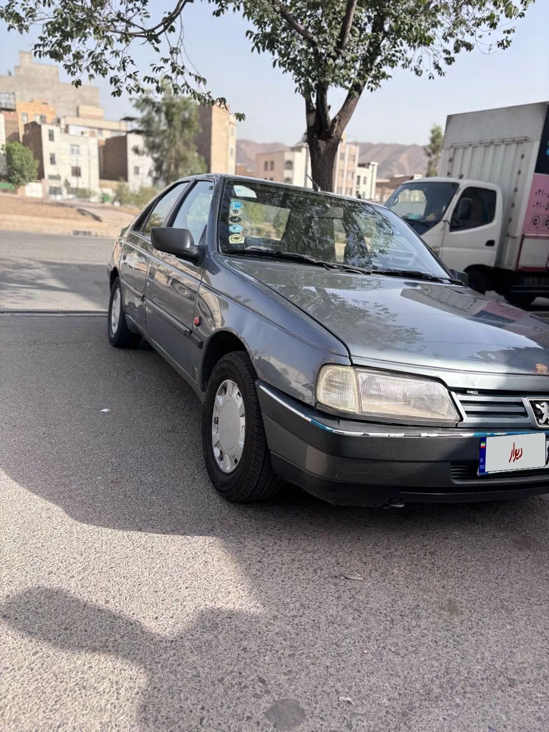 پژو 405 GLX - دوگانه سوز - 1389