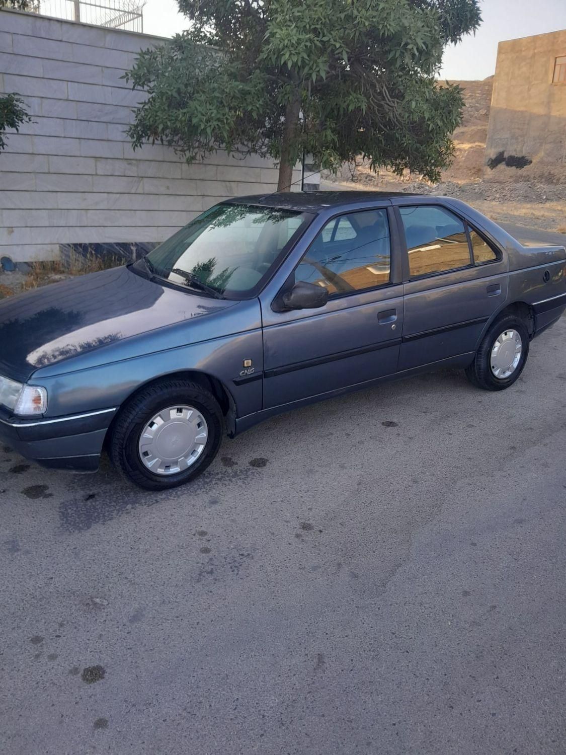 پژو 405 GLX - دوگانه سوز - 1398