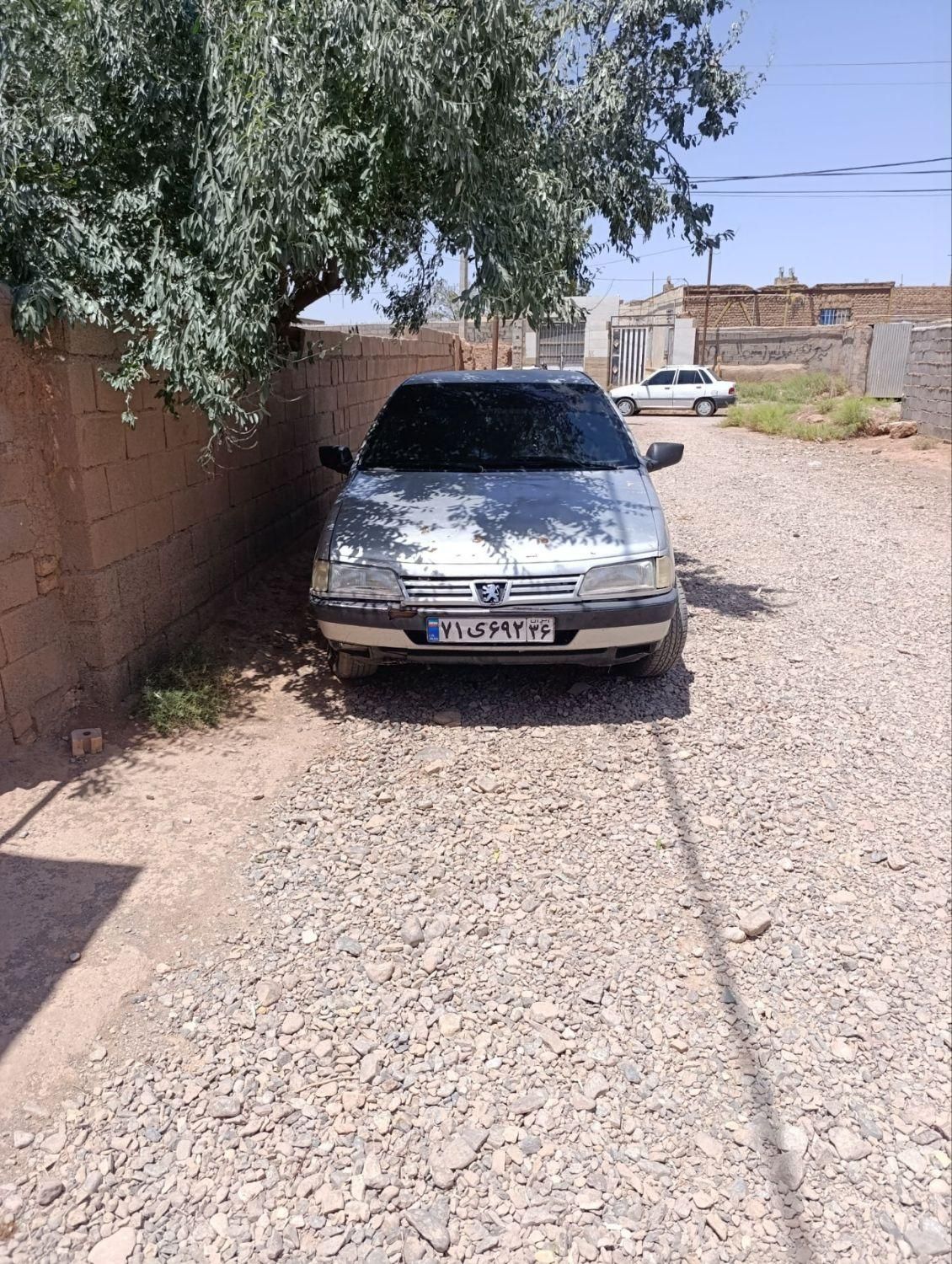 پژو 405 GL - دوگانه سوز CNG - 1369