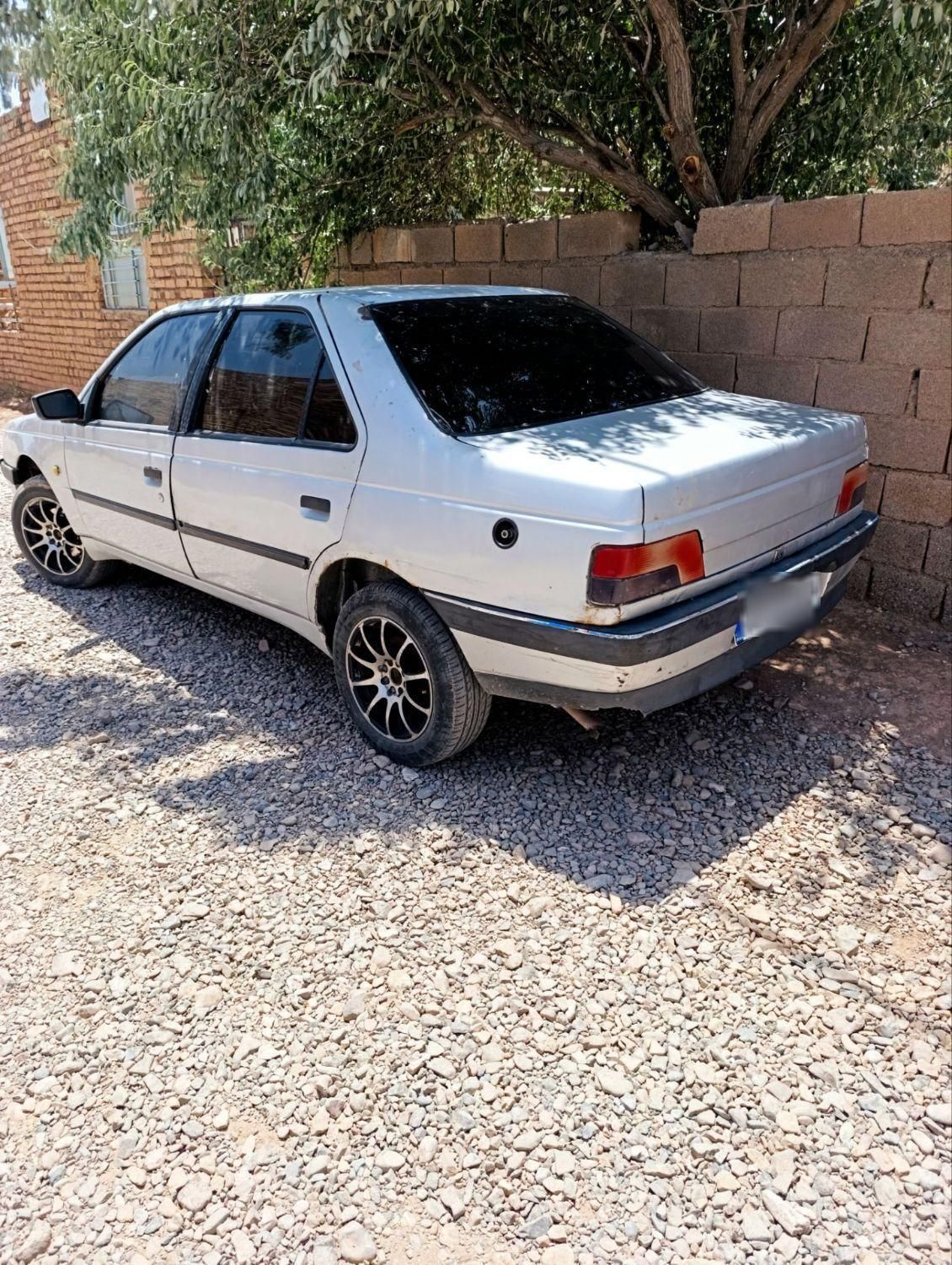 پژو 405 GL - دوگانه سوز CNG - 1369
