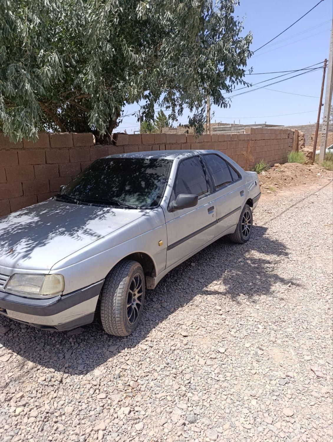پژو 405 GL - دوگانه سوز CNG - 1369