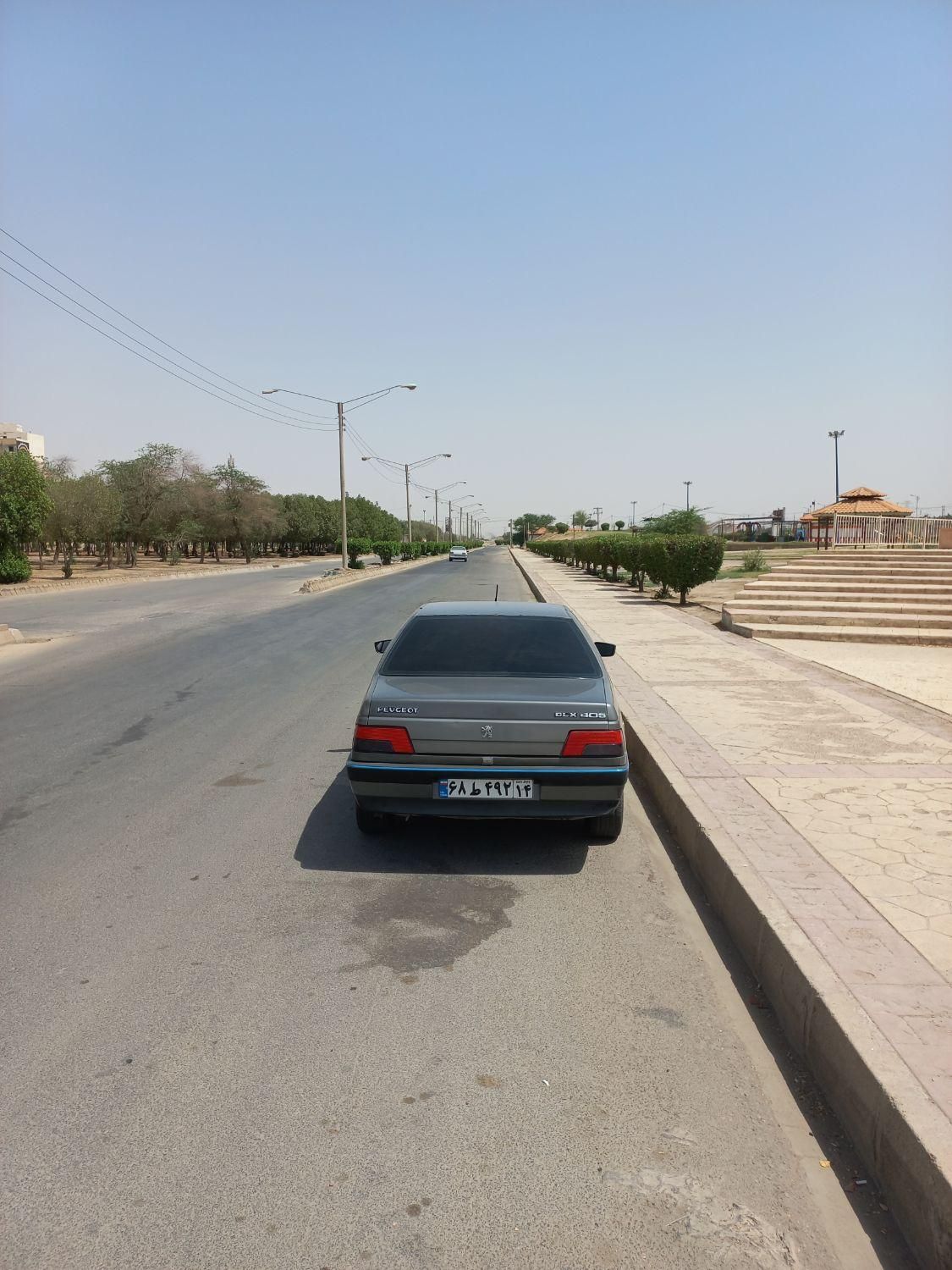 پژو 405 GLX - دوگانه سوز - 1389