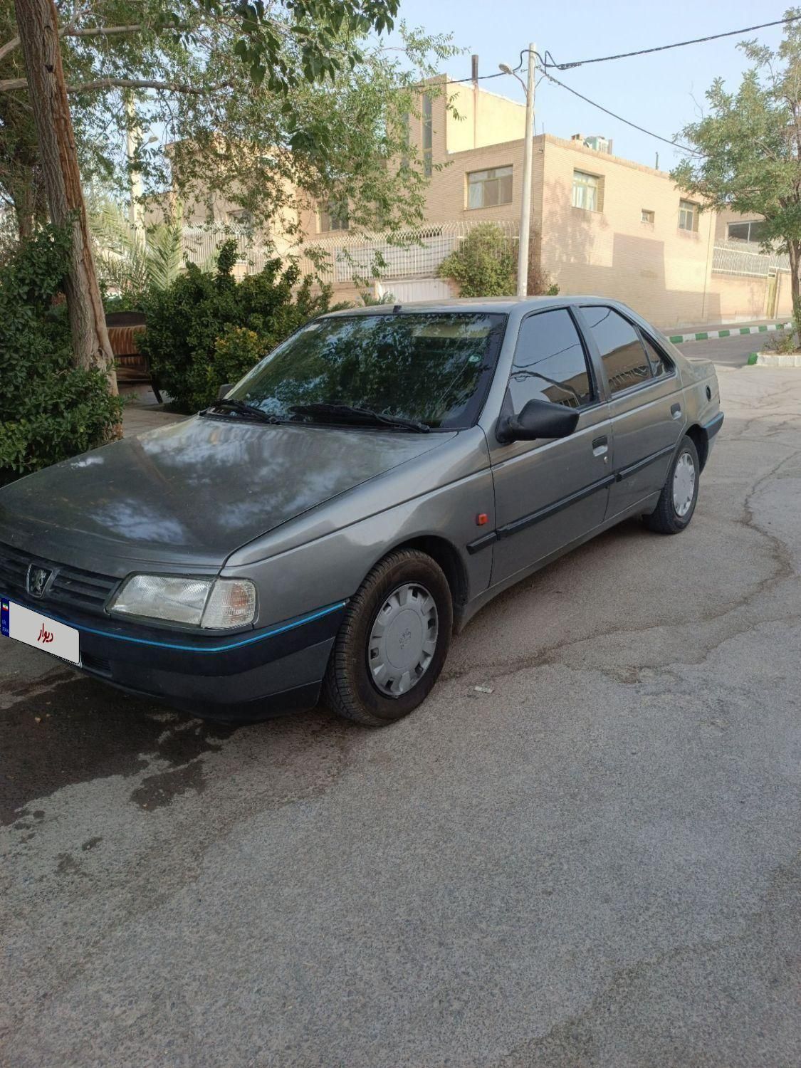 پژو 405 GLX - دوگانه سوز - 1389