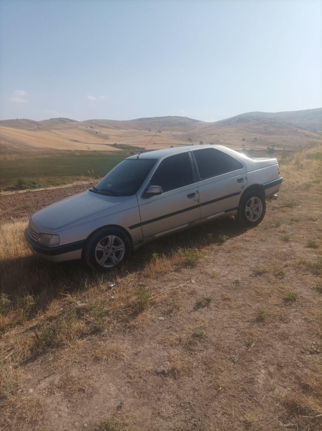 پژو 405 GLX - دوگانه سوز - 1384