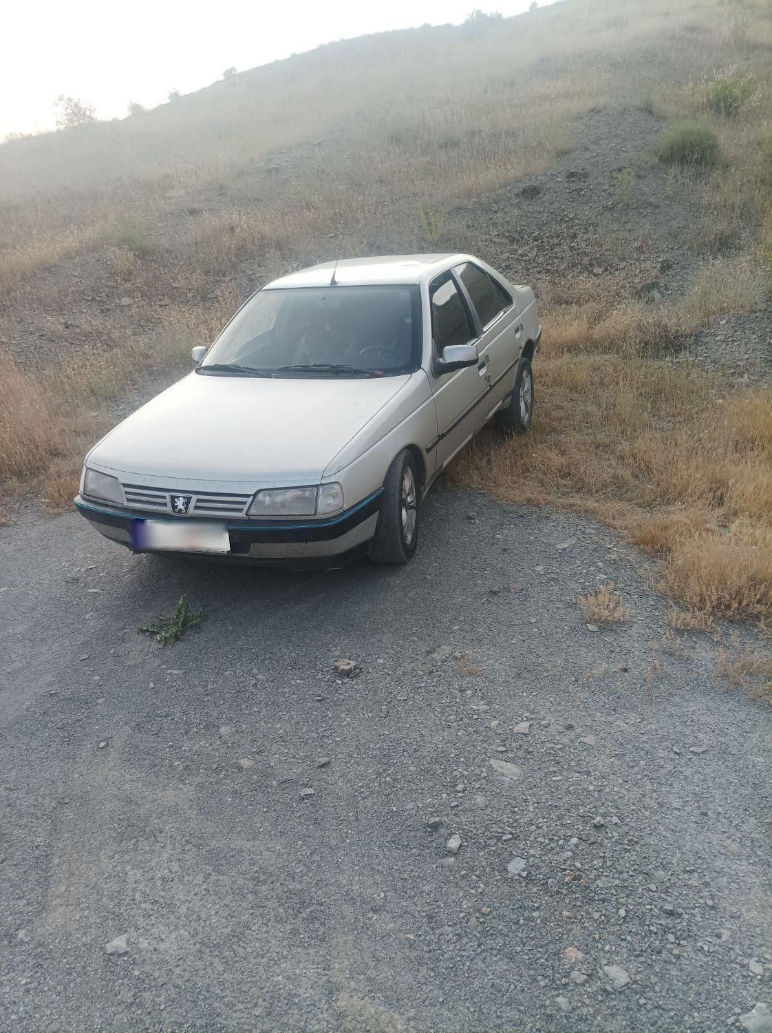 پژو 405 GLX - دوگانه سوز - 1384