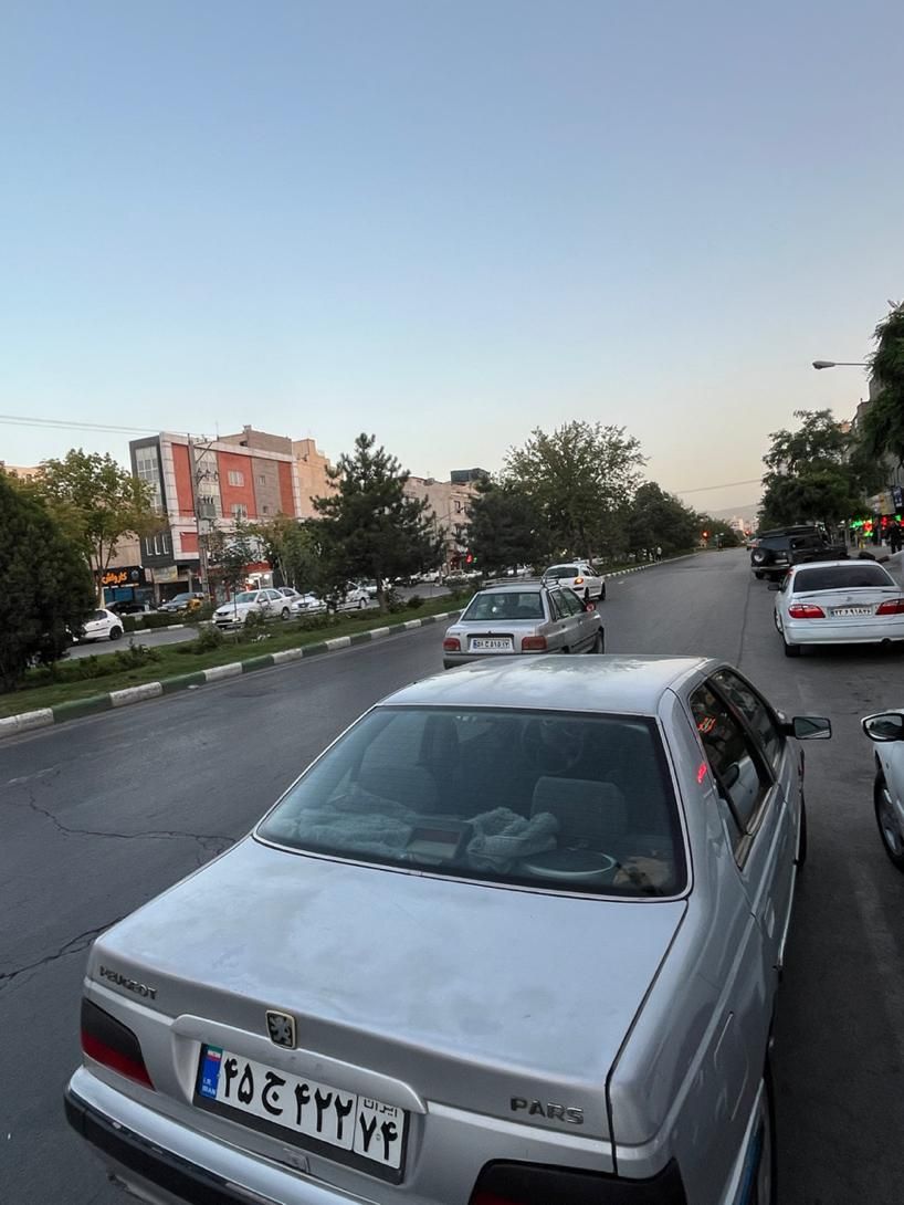 پژو پارس ELX-XU7P سفارشی - 1385