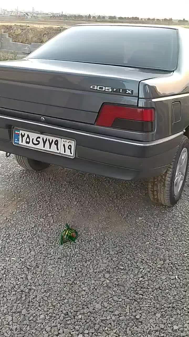 پژو 405 GLX - دوگانه سوز - 1398