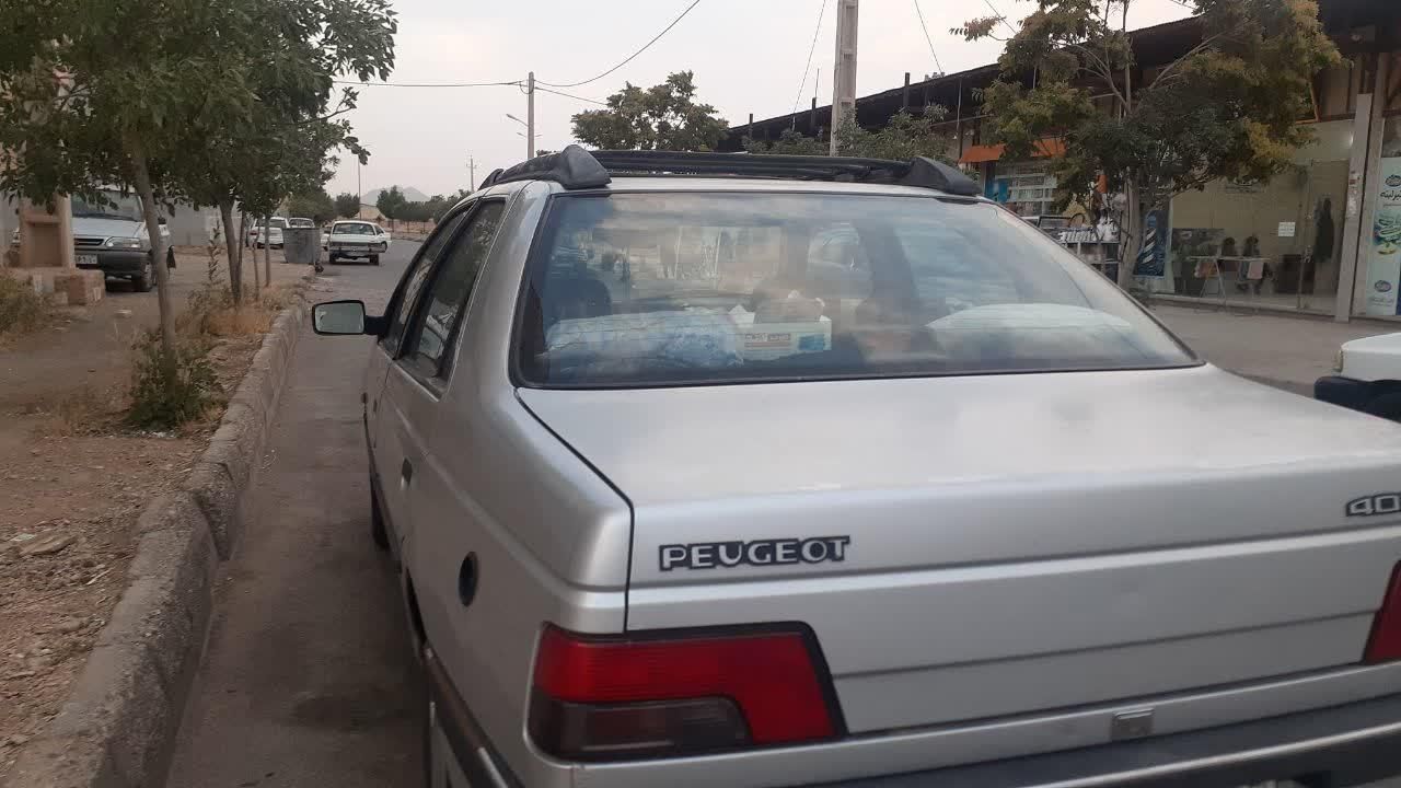 پژو 405 GLX - دوگانه سوز - 1388