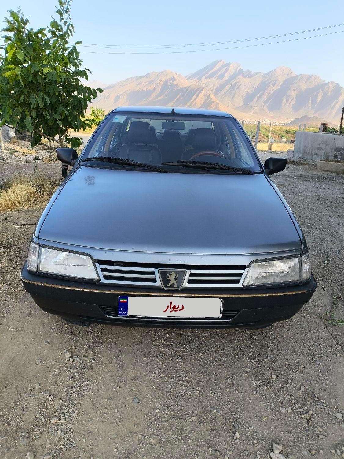 پژو 405 GLX - دوگانه سوز - 1396