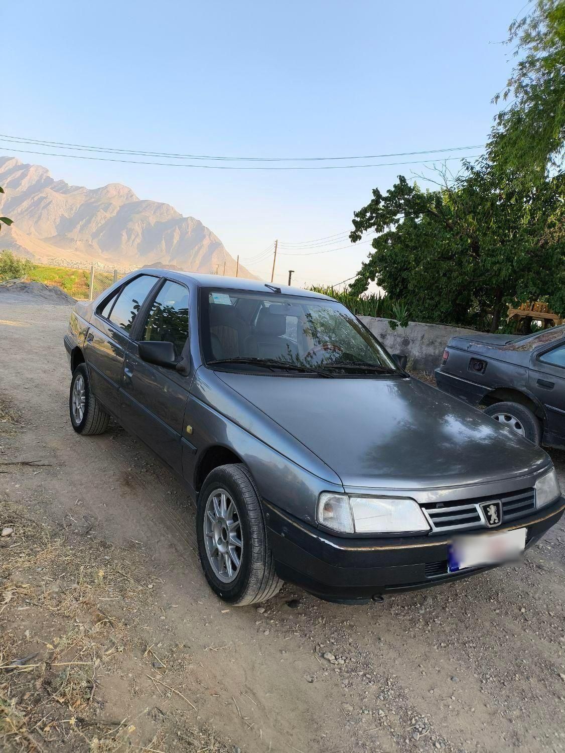 پژو 405 GLX - دوگانه سوز - 1396
