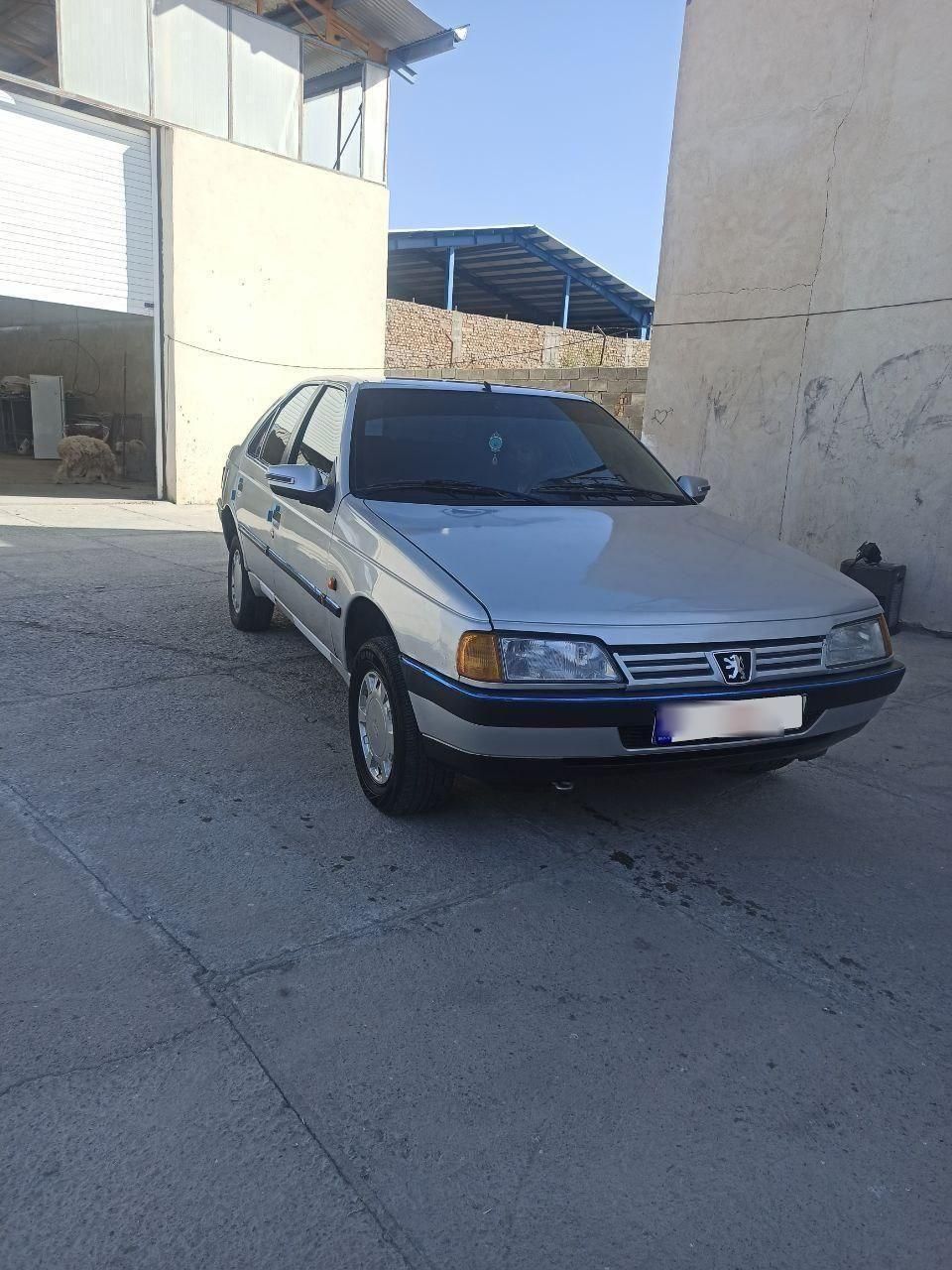 پژو 405 GL - دوگانه سوز CNG - 1369