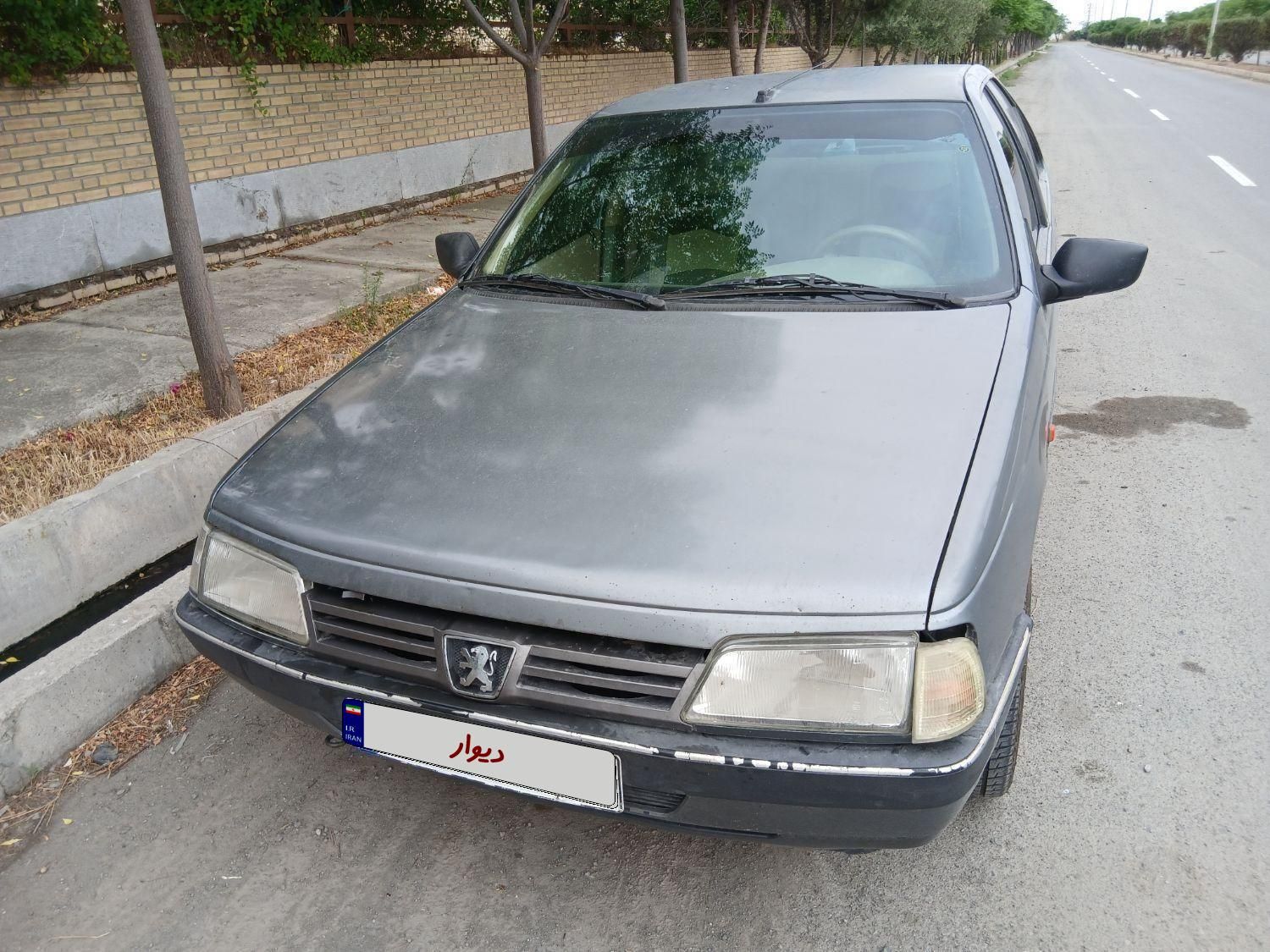 پژو 405 GLX - دوگانه سوز - 1389