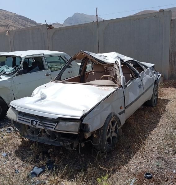 پژو 405 GLX - دوگانه سوز - 1390