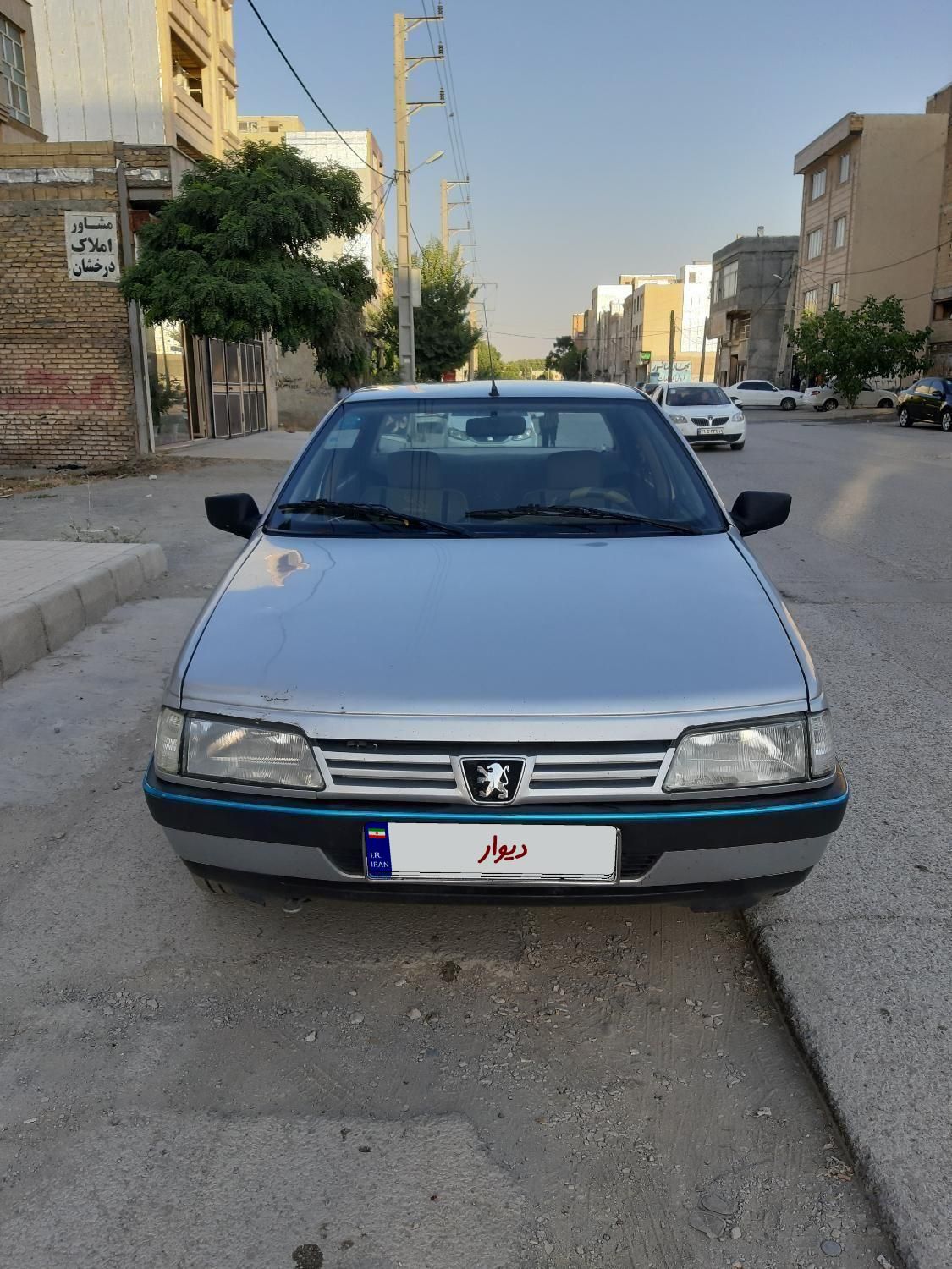 پژو 405 GLX - دوگانه سوز - 1391