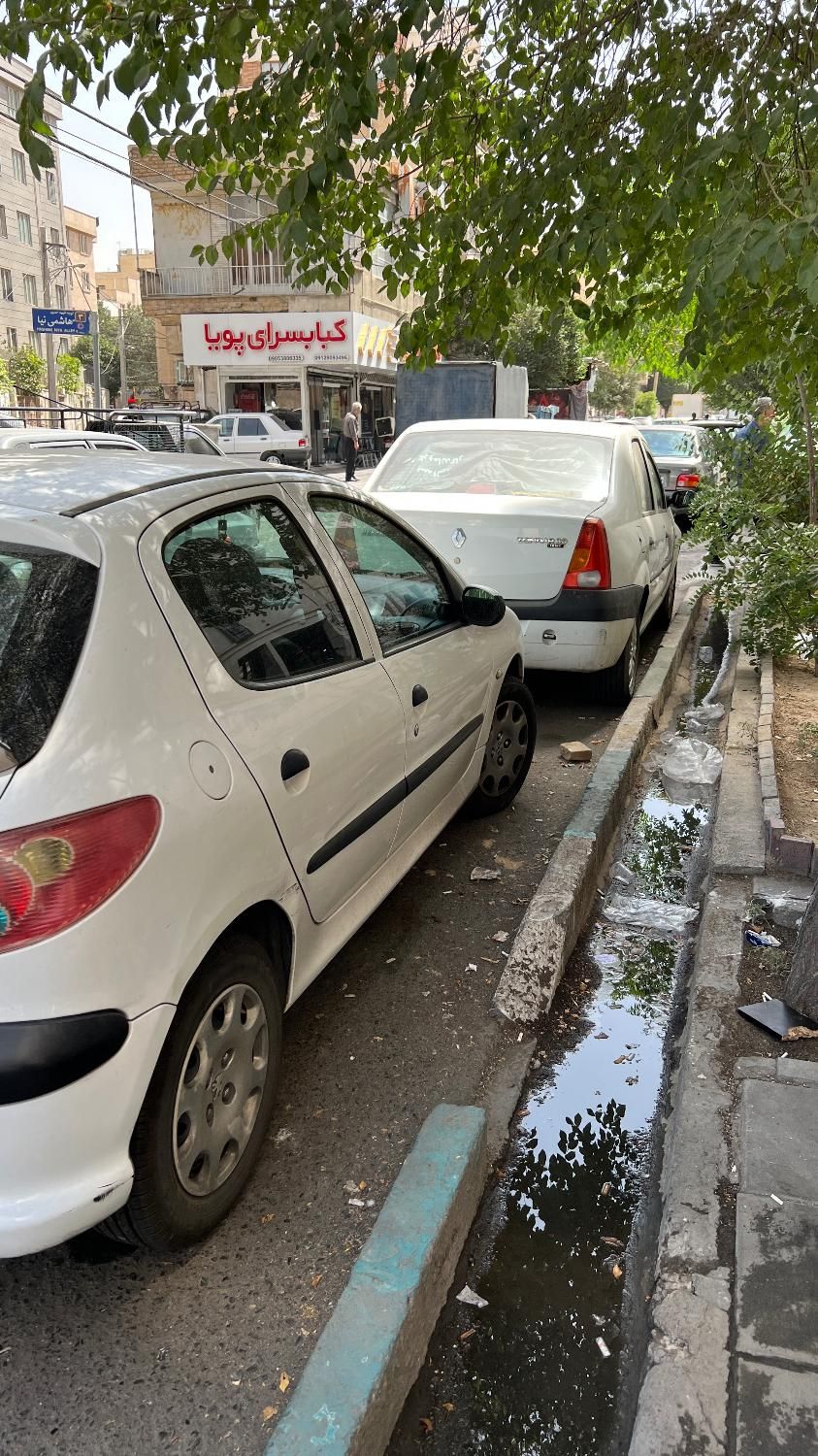 پژو 206 تیپ 2 - 1394