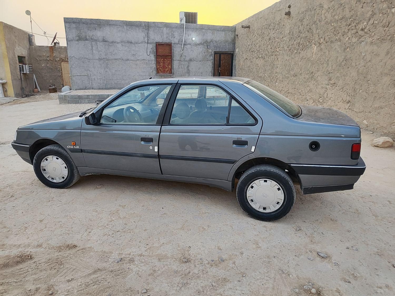 پژو 405 GLX - دوگانه سوز - 1393