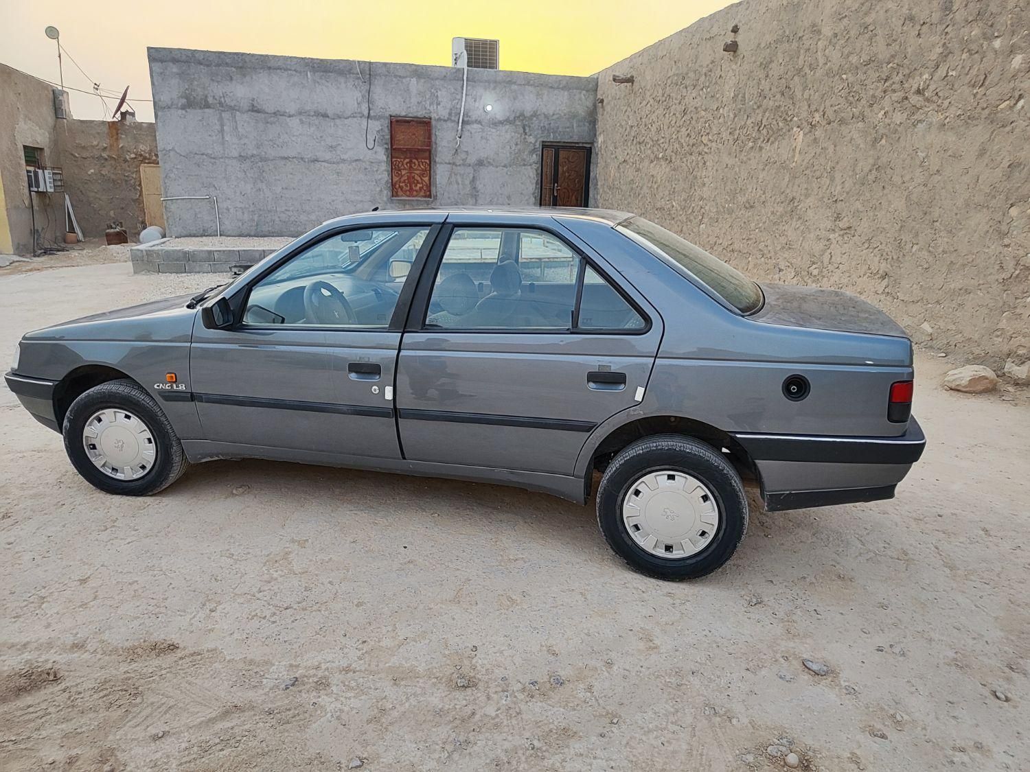 پژو 405 GLX - دوگانه سوز - 1393