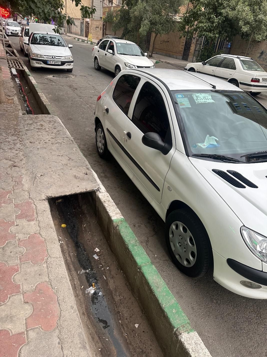 پژو 206 تیپ 2 - 1401