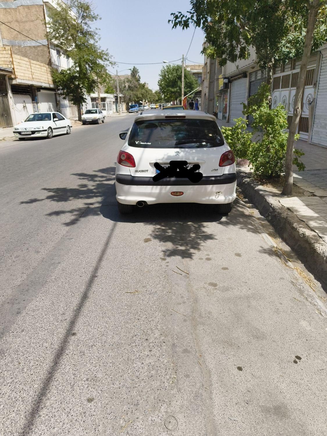پژو 206 تیپ 2 - 1391