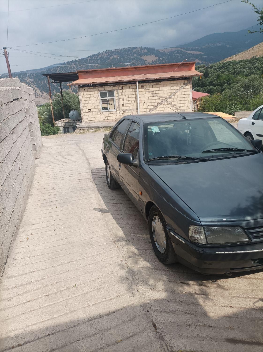 خودرو پژو، 405 آگهی ann_18906253