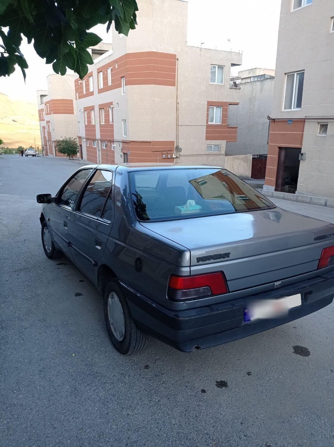 پژو 405 GLX - دوگانه سوز - 1390