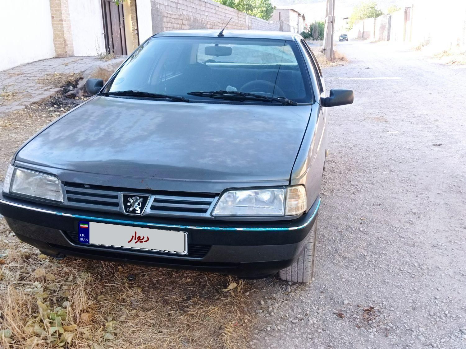 پژو 405 GLX - دوگانه سوز - 1389