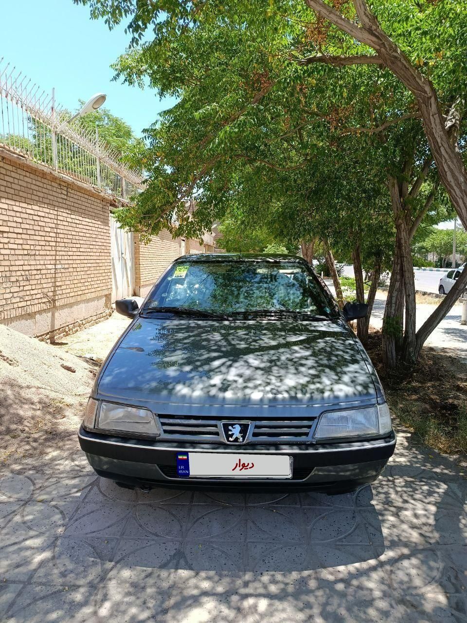 پژو 405 GLX - دوگانه سوز - 1391