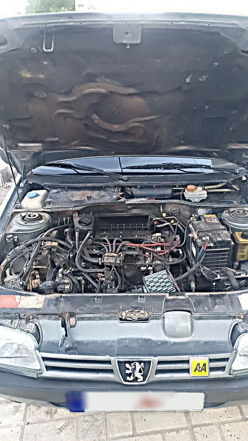 پژو 405 GL - دوگانه سوز CNG - 1372