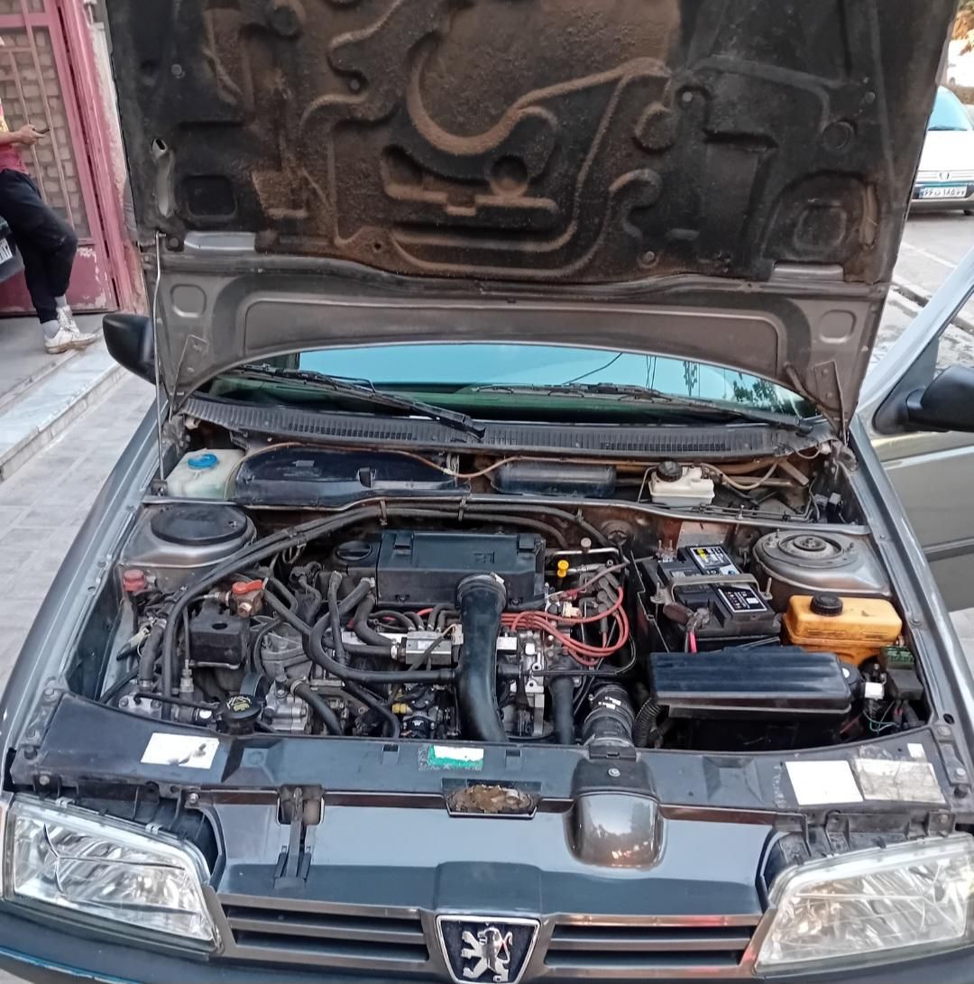 پژو 405 GLX - دوگانه سوز - 1389