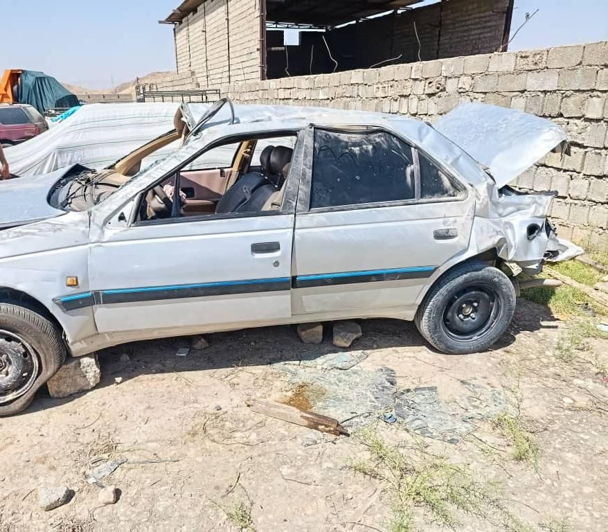 پژو 405 GLX - دوگانه سوز - 1391