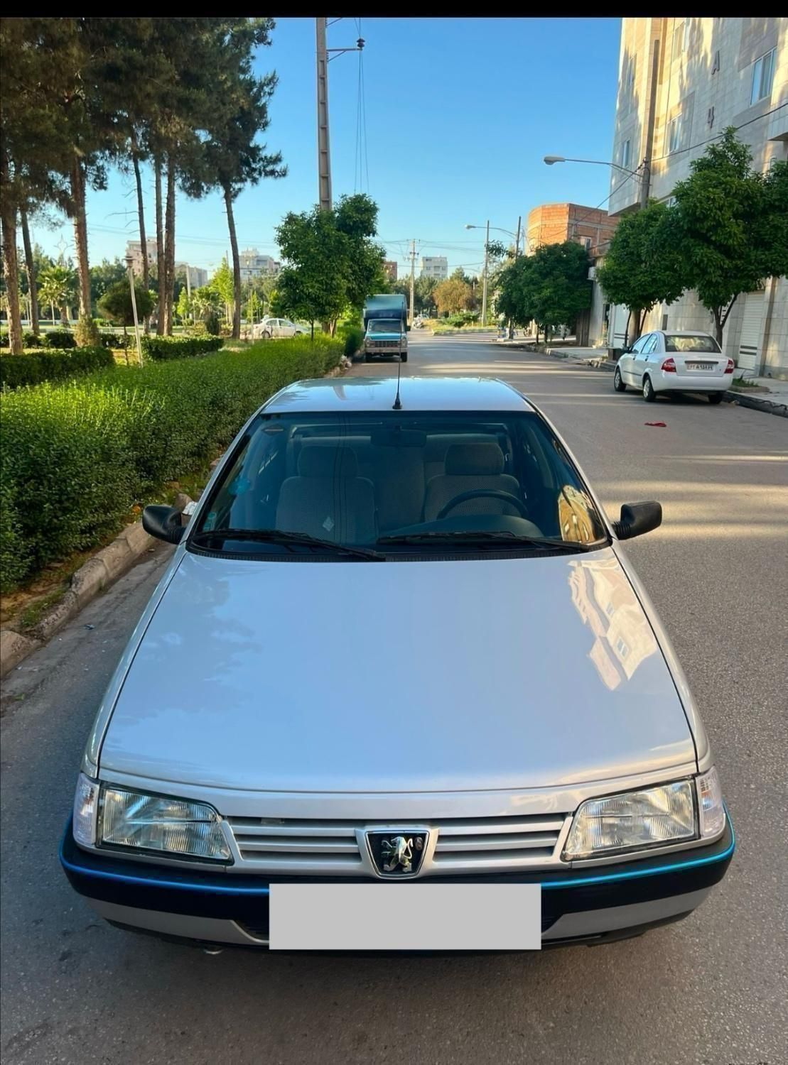 پژو 405 GLX - دوگانه سوز - 1388