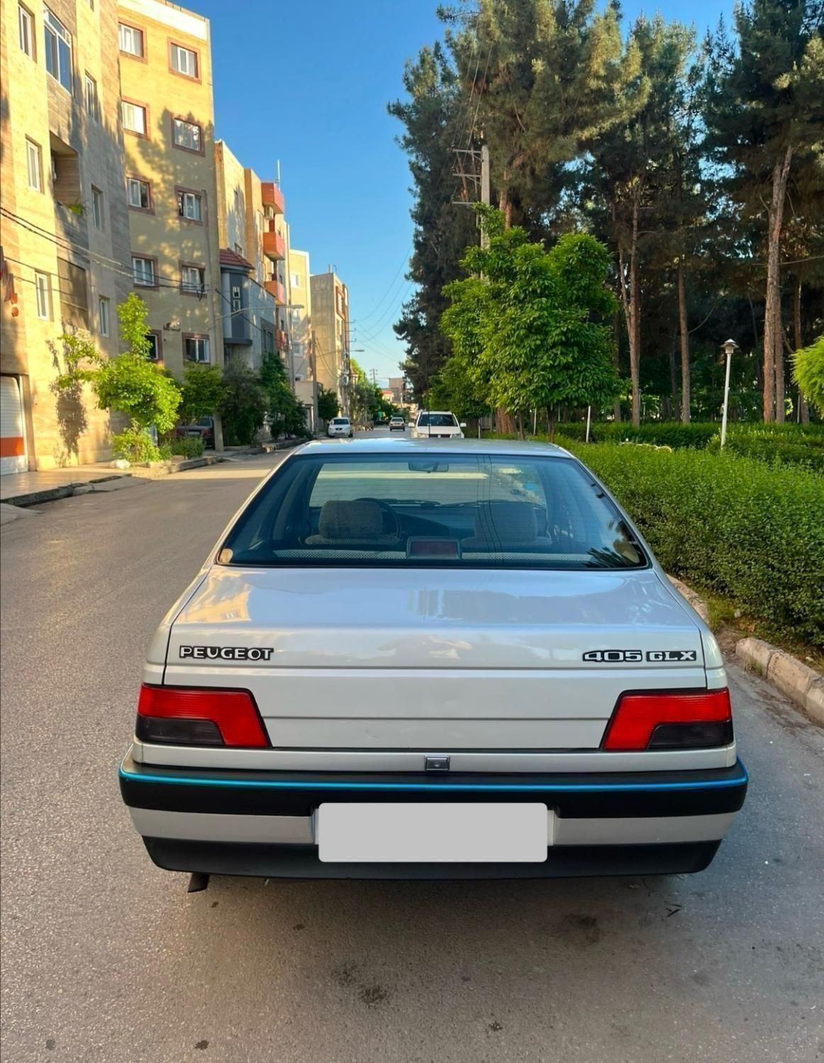 پژو 405 GLX - دوگانه سوز - 1388