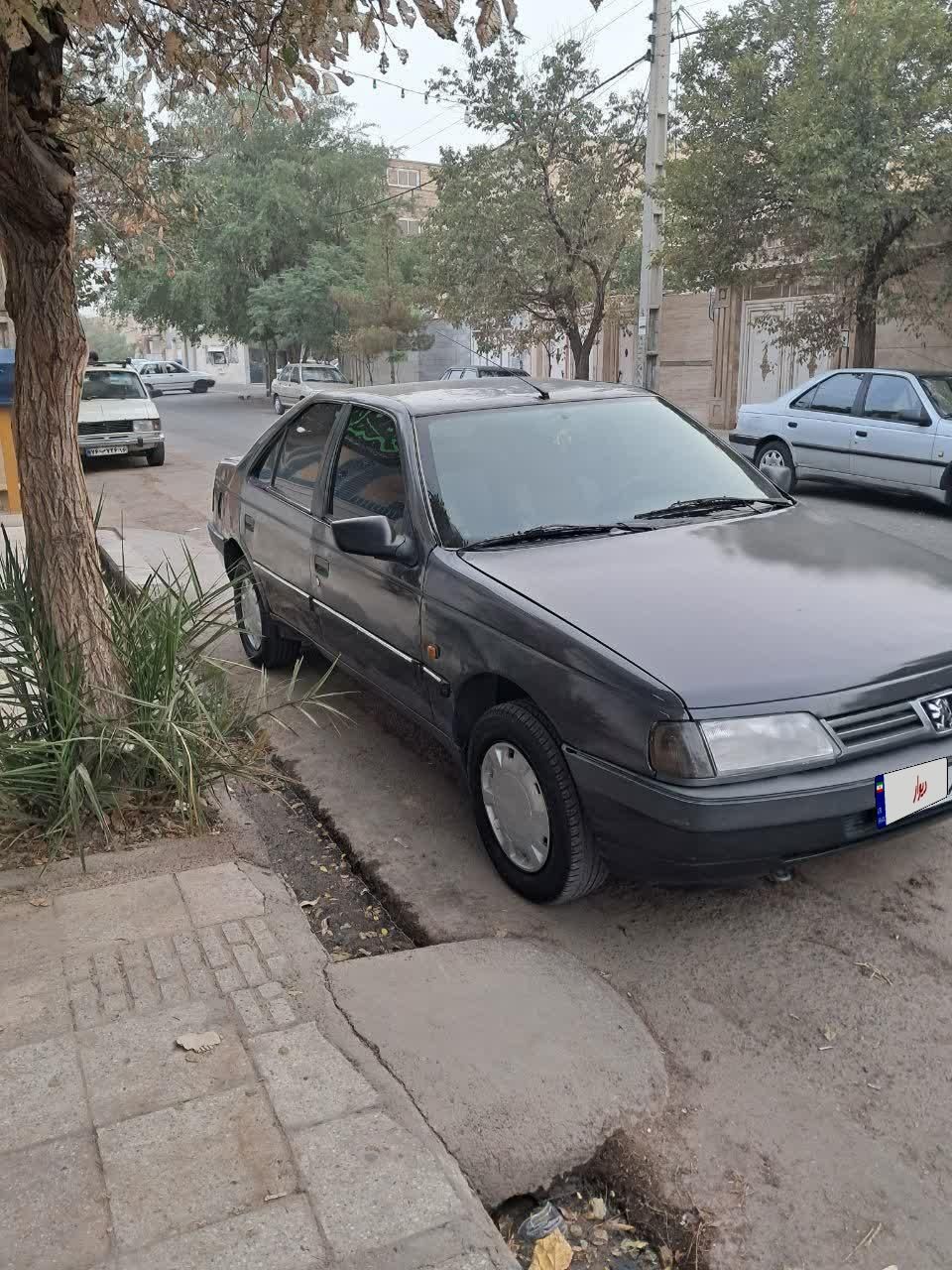 پژو 405 GLX - دوگانه سوز - 1384