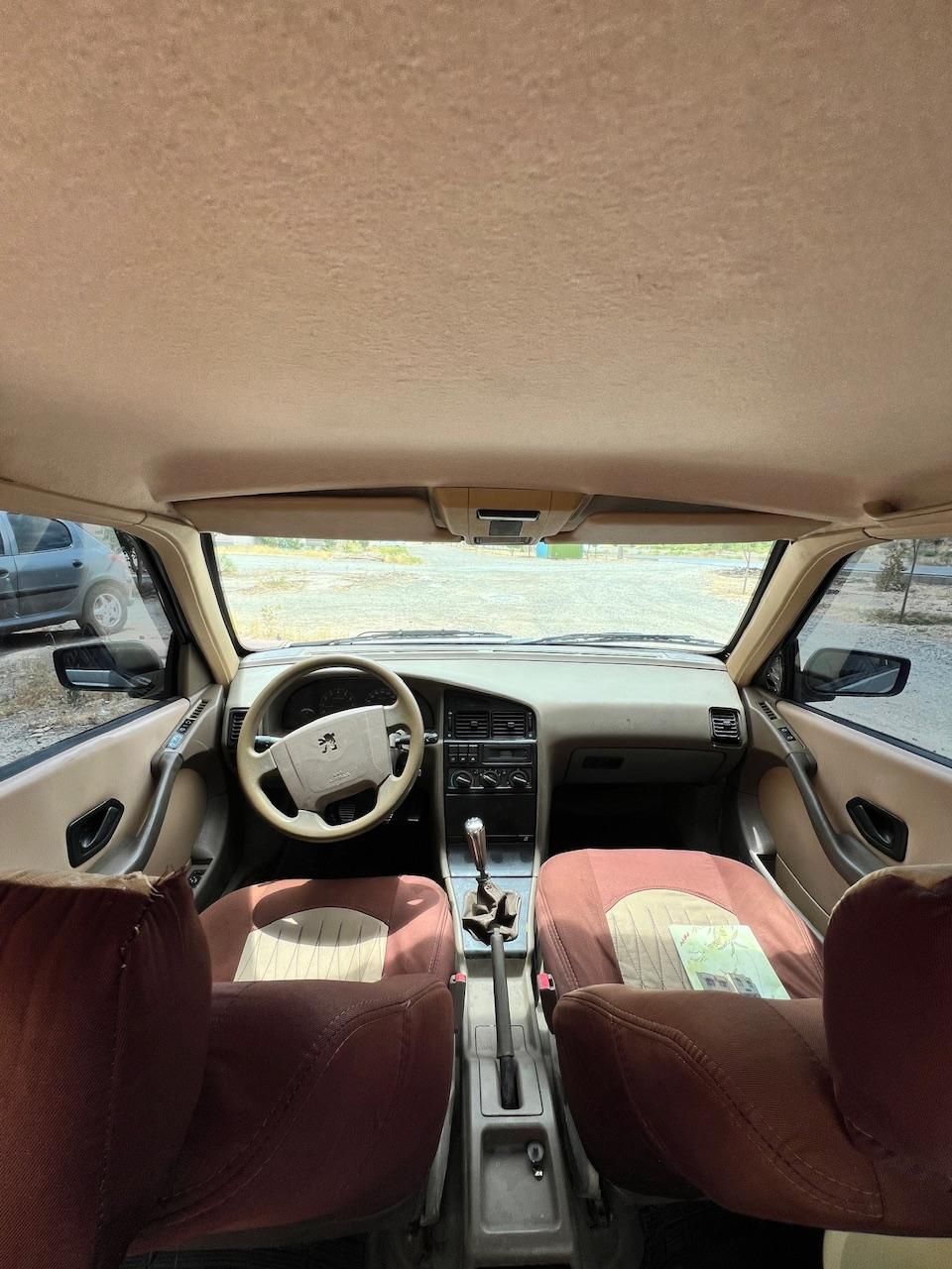 پژو 405 GLX - دوگانه سوز - 1389