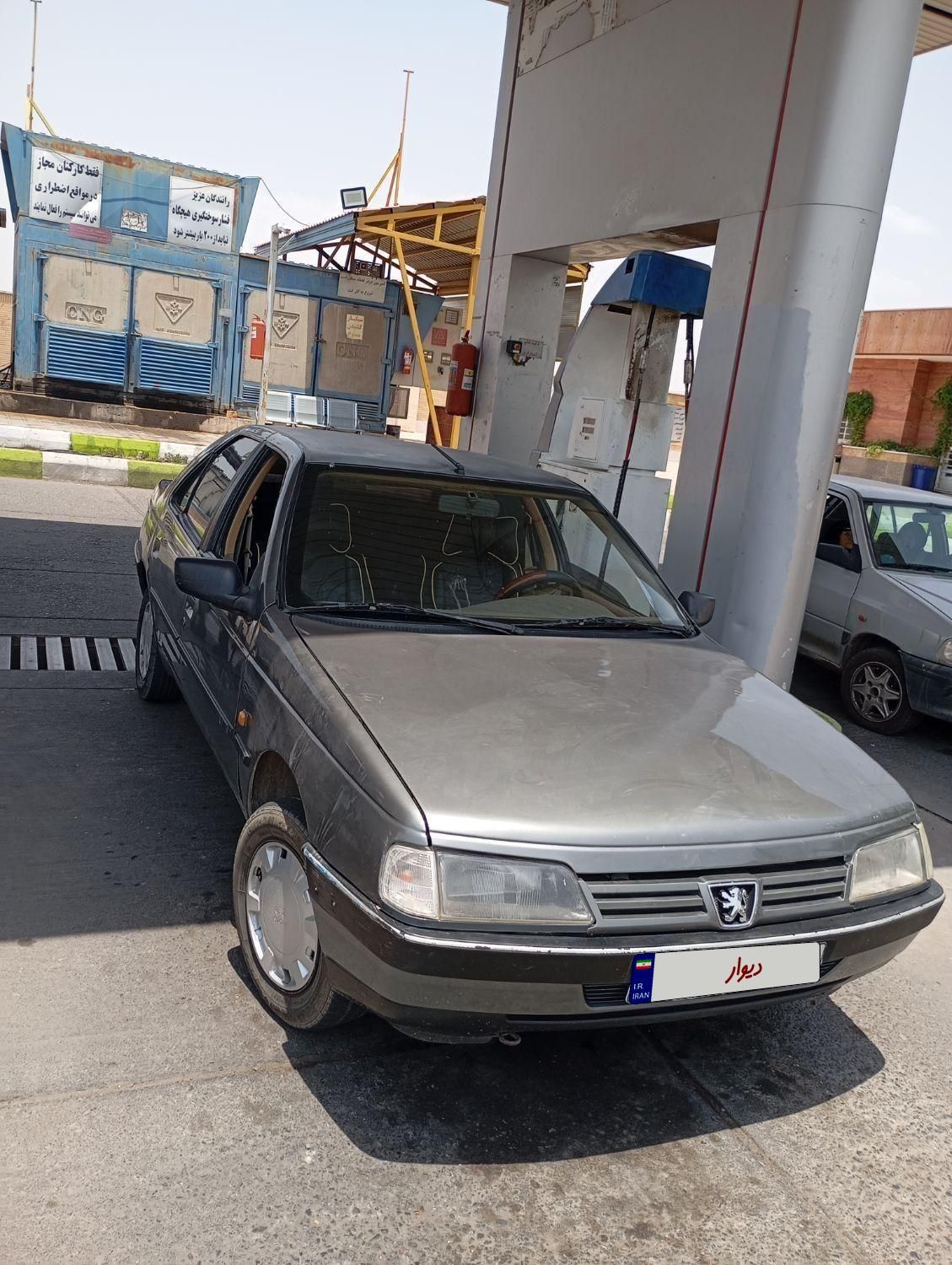 پژو 405 GLX - دوگانه سوز - 1391