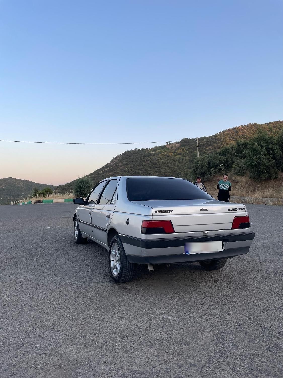 پژو 405 GLX - دوگانه سوز - 1386