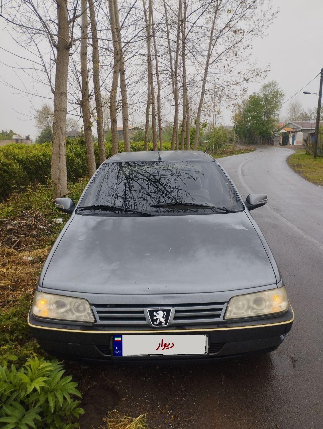 پژو 405 GLX - دوگانه سوز - 1391