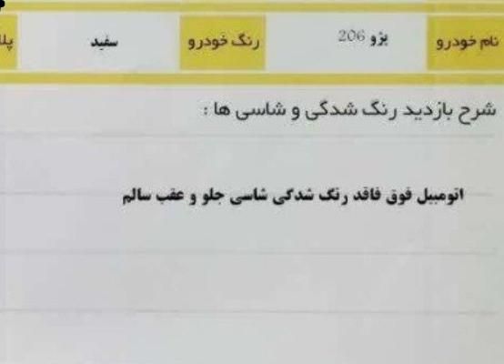 پژو 206 تیپ 2 - 1391