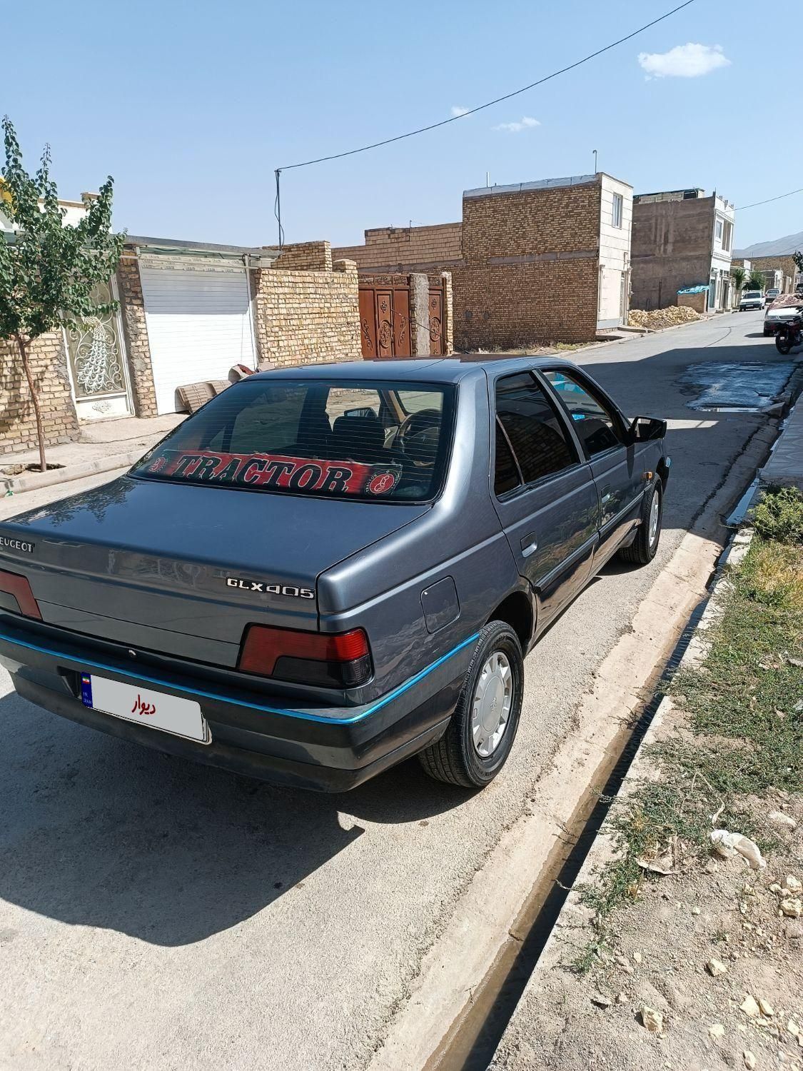 پژو 405 GL - دوگانه سوز CNG - 1373