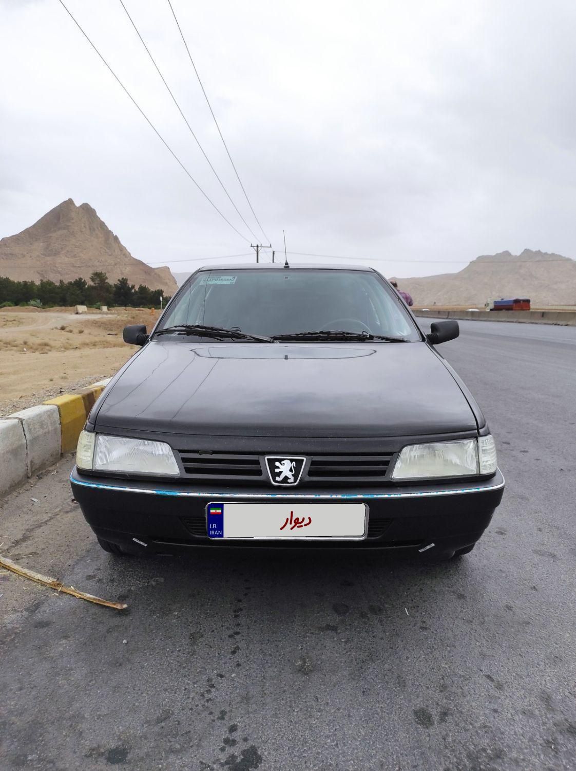 پژو 405 GLX - دوگانه سوز - 1384