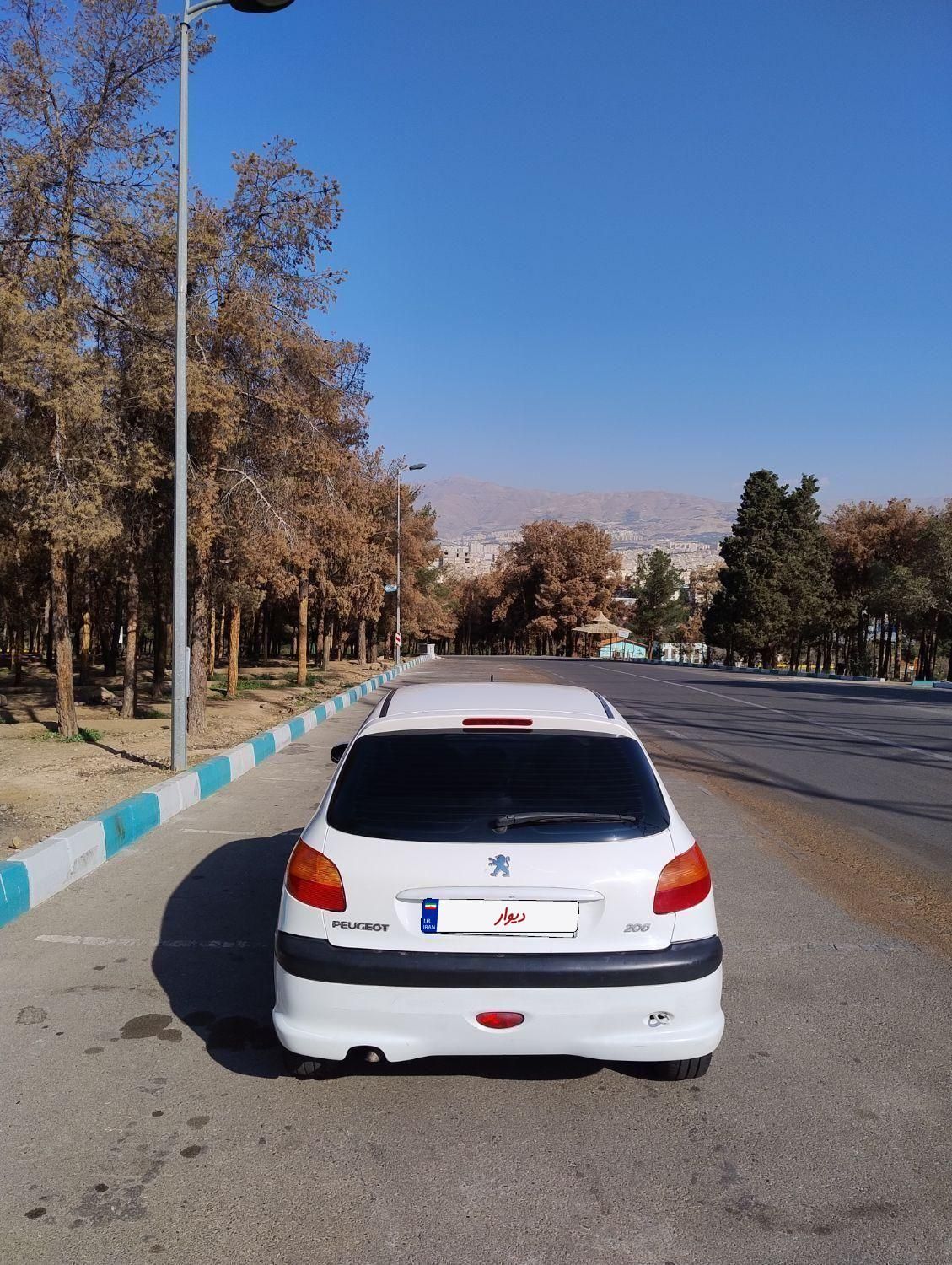 پژو 206 تیپ 2 - 1389