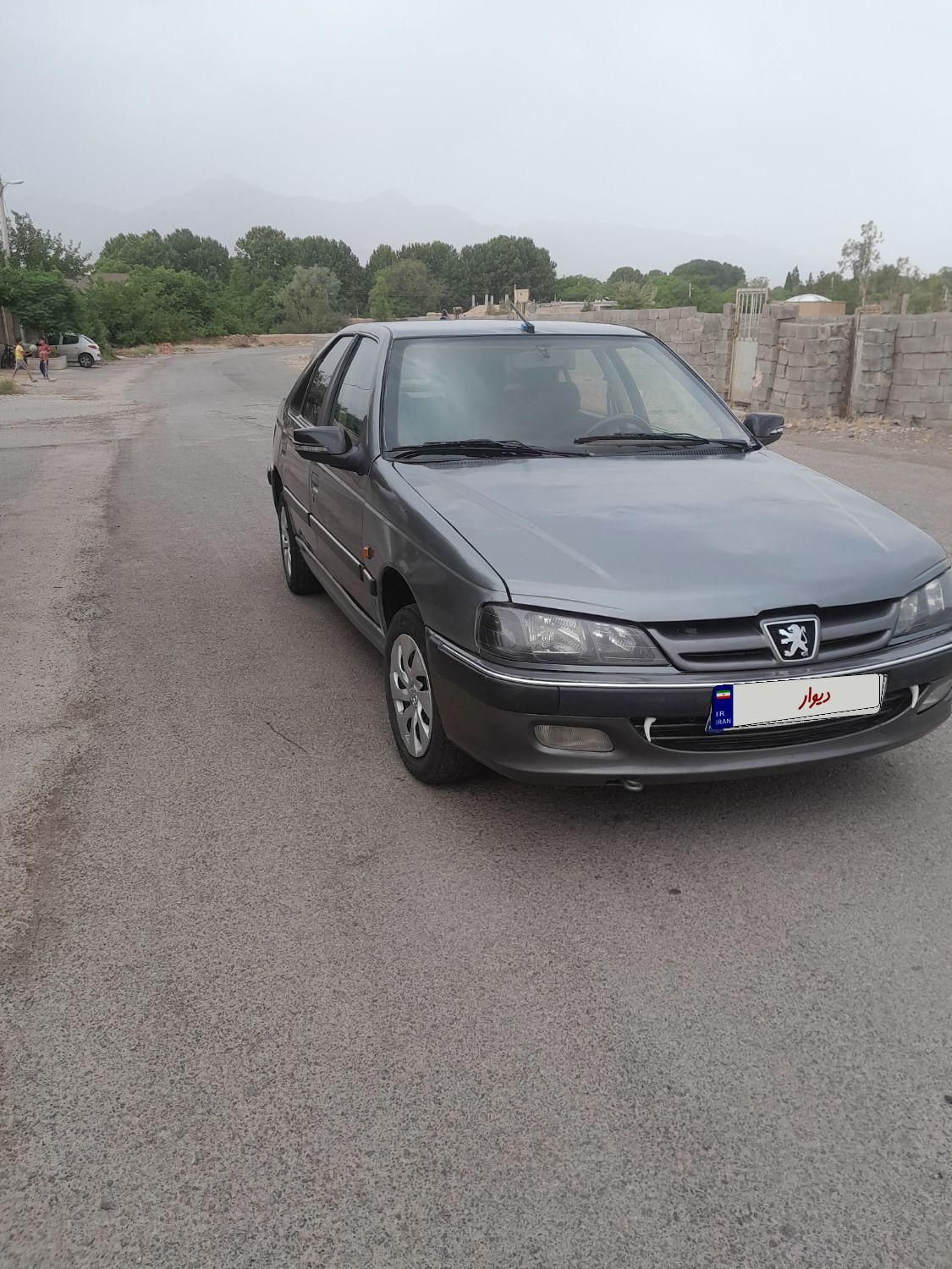 پژو پارس ELX-XU7P سفارشی - 1393