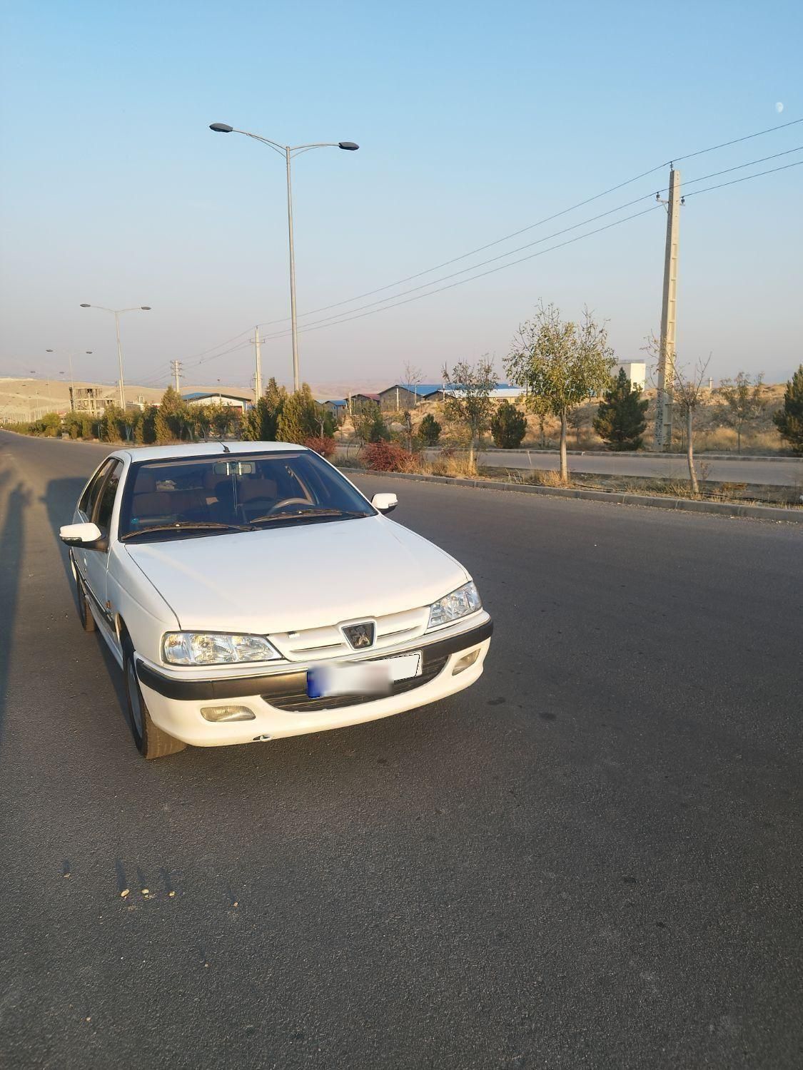 پژو پارس ELX-XU7P سفارشی - 1393