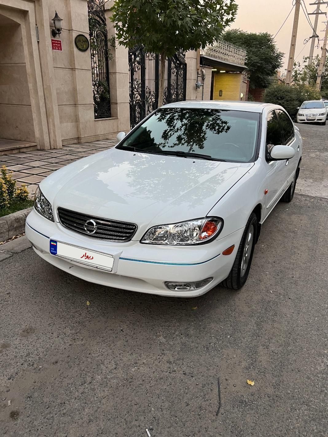 خودرو نیسان، ماکسیما آگهی ann_19003983