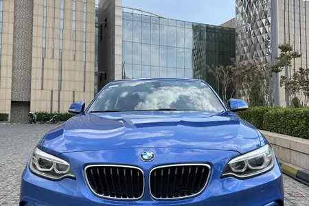 ب ام و سری 2 کوپه 220i - 2016