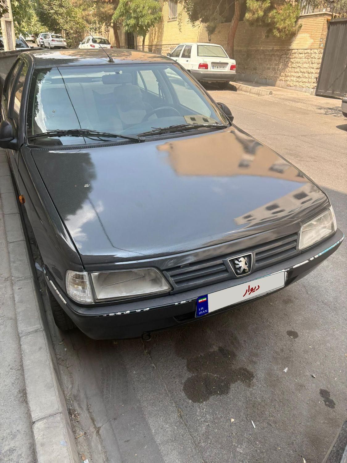 پژو 405 GLX - 1384