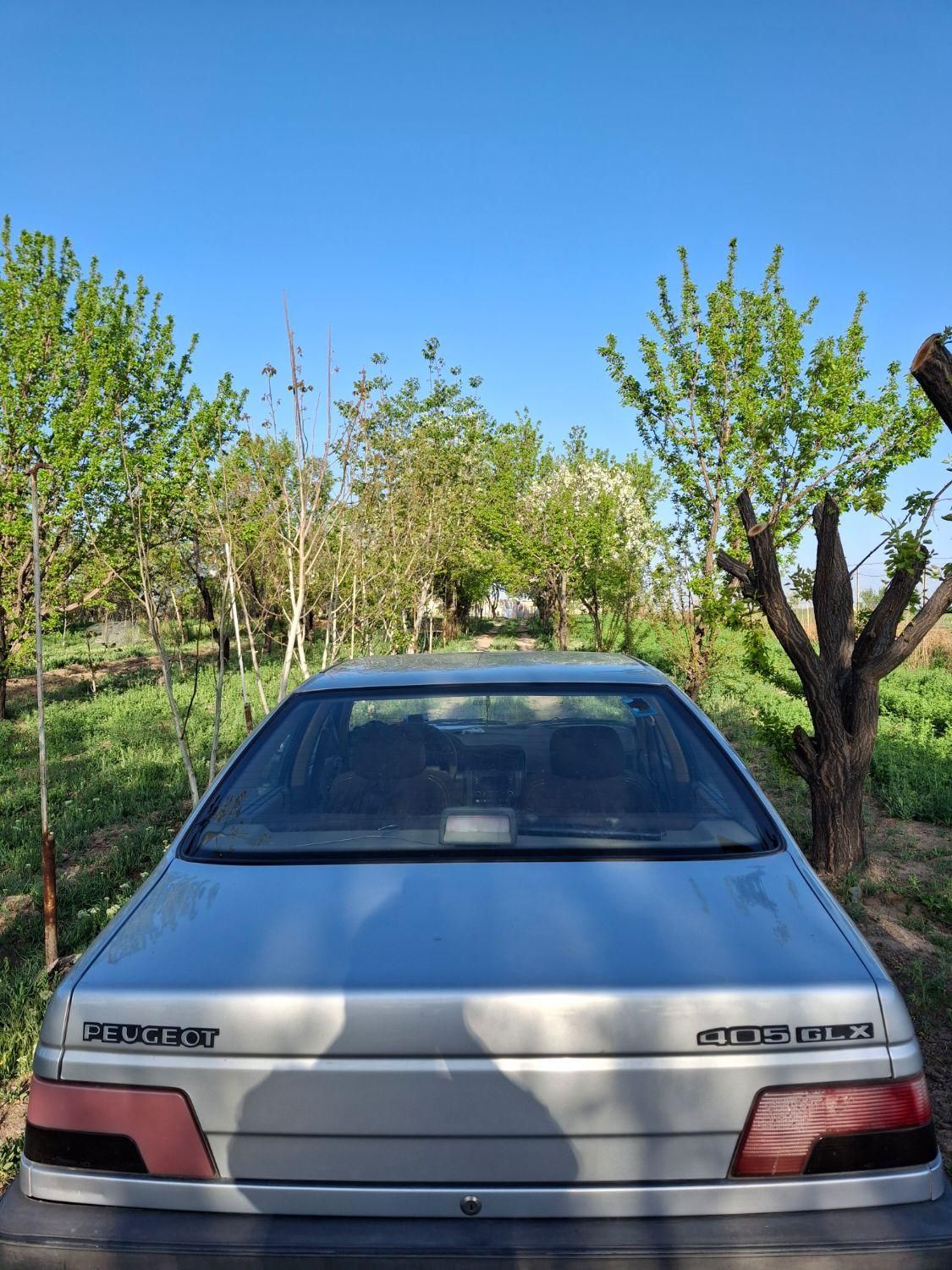 پژو 405 GLX - دوگانه سوز - 1393