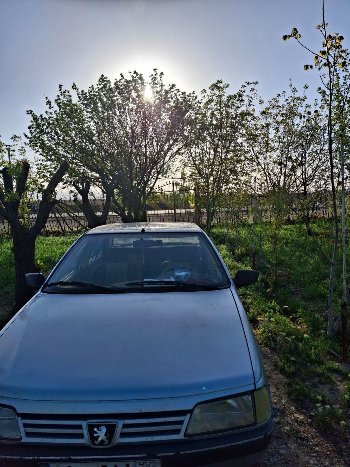 پژو 405 GLX - دوگانه سوز - 1393