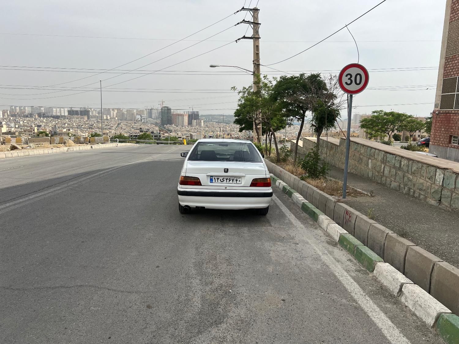 پژو پارس ELX-XU7P سفارشی - 1394