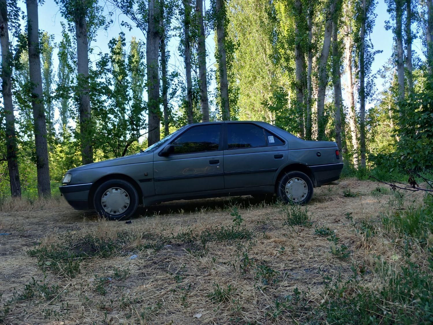 پژو 405 GLX - 1388